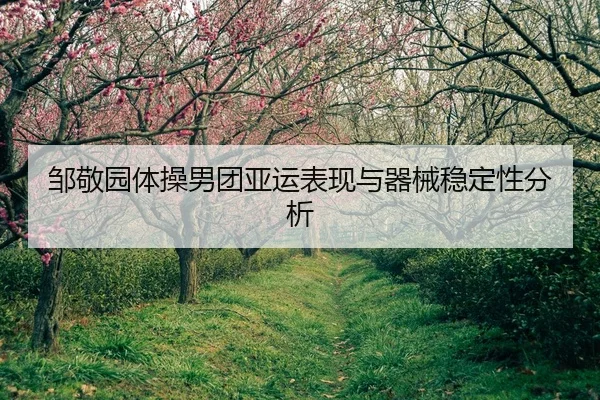 邹敬园体操男团亚运表现与器械稳定性分析